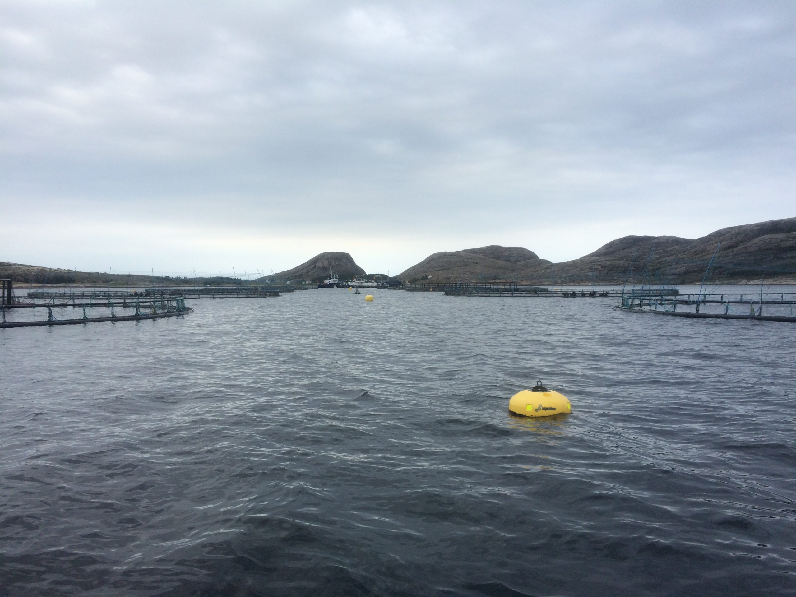 Products Mainstay AS